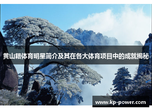 黄山籍体育明星简介及其在各大体育项目中的成就揭秘